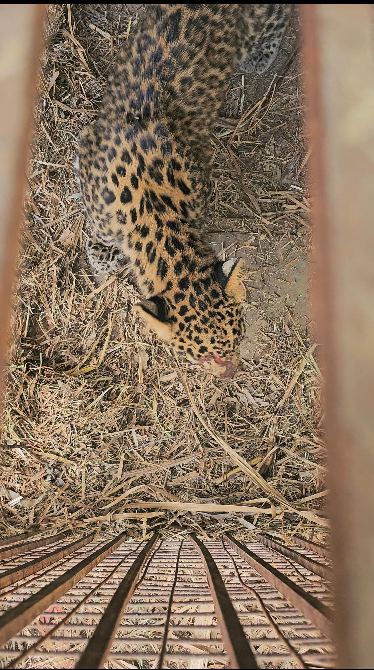 WhatsApp Image 2024 05 04 at 19.01.08